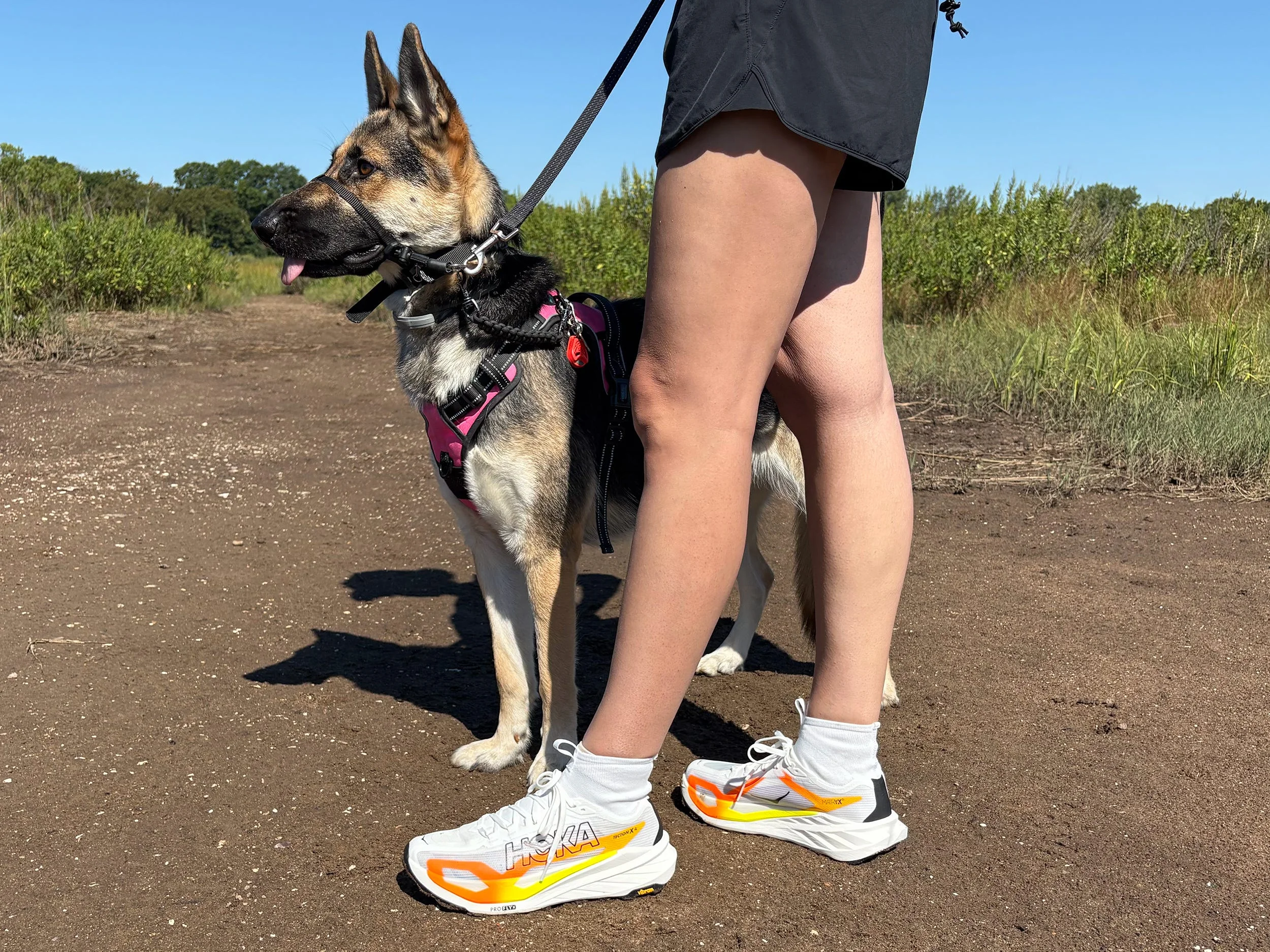 Hoka Tecton X 4: A Top Choice for Trail Runners Seeking Speed and Stability